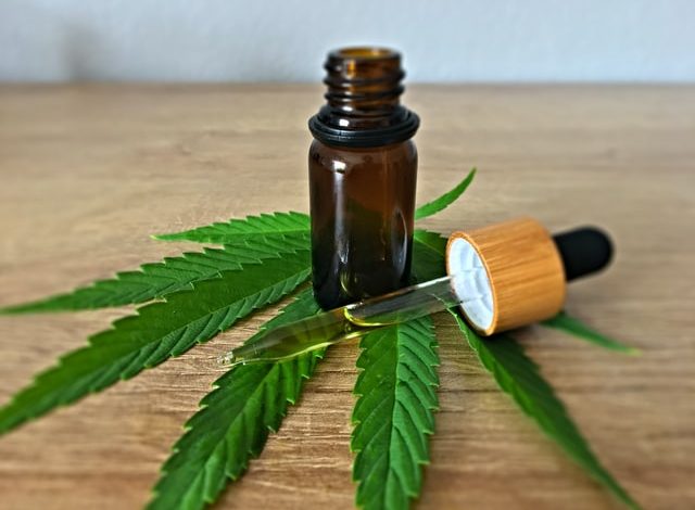 Photo of Is CBD Good for Muscle Recovery? Here’s What Science Says
